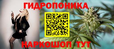 ECSTASY Краснознаменск