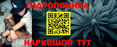 молекула духа Краснодар
