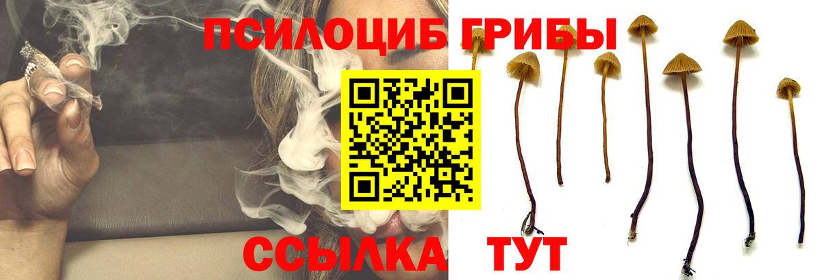 Псилоцибиновые грибы MAGIC MUSHROOMS Ефремов